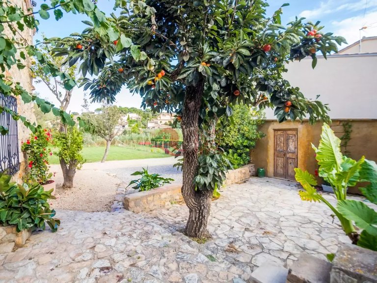 Town House for Sale in Sant Antoni De Calonge, Gerona 10
