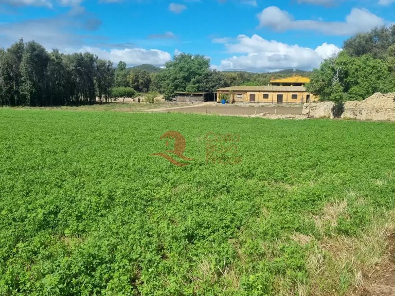 Town House for Sale in Palafrugell, Gerona 1