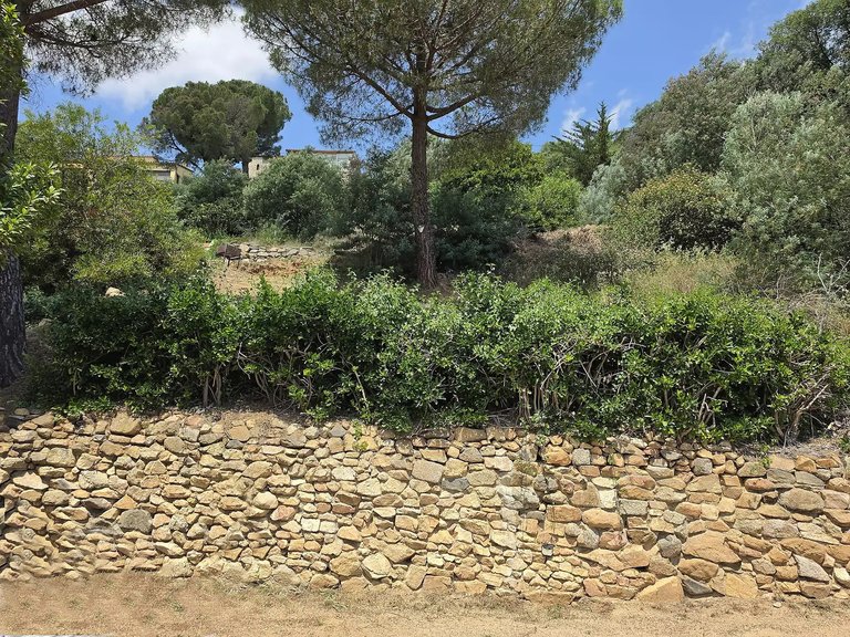 Plot for Sale in Calonge, Gerona 3