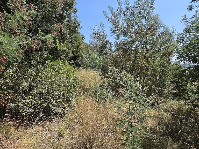 Plot for Sale in Calonge, Gerona 12