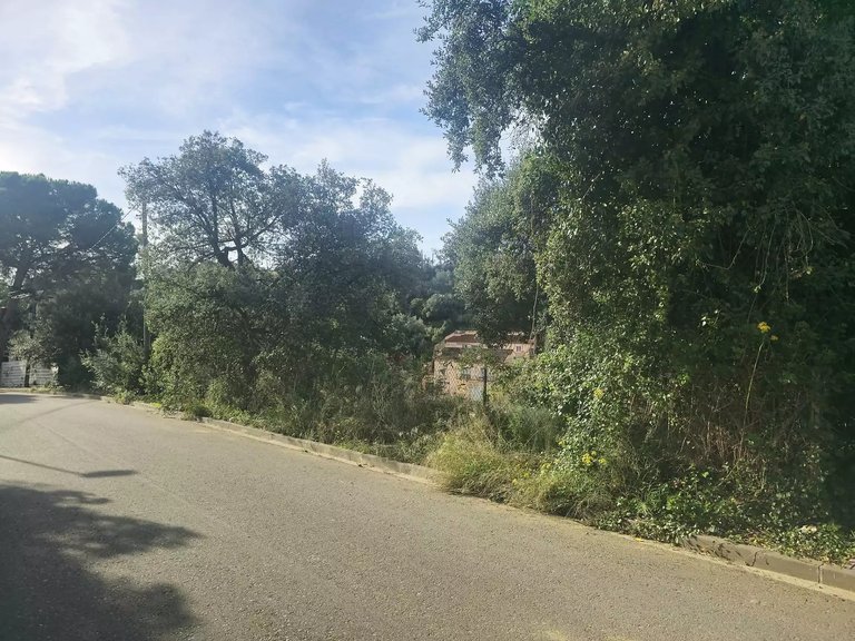 Plot for Sale in Calonge, Gerona 8
