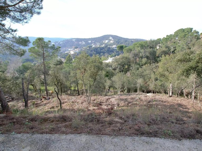 Plot for Sale in Calonge, Gerona 1