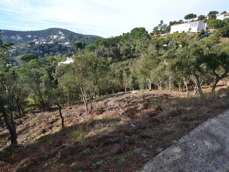 Plot for Sale in Calonge, Gerona 3