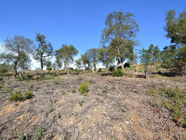 Plot for Sale in Calonge, Gerona 1