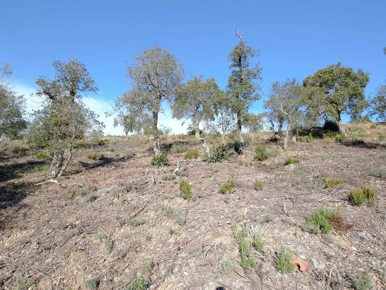 Plot for Sale in Calonge, Gerona 2