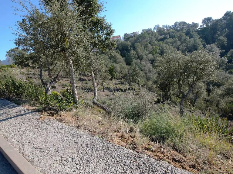Plot for Sale in Calonge, Gerona 3