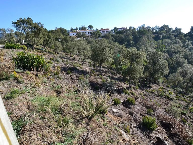 Plot for Sale in Calonge, Gerona 4