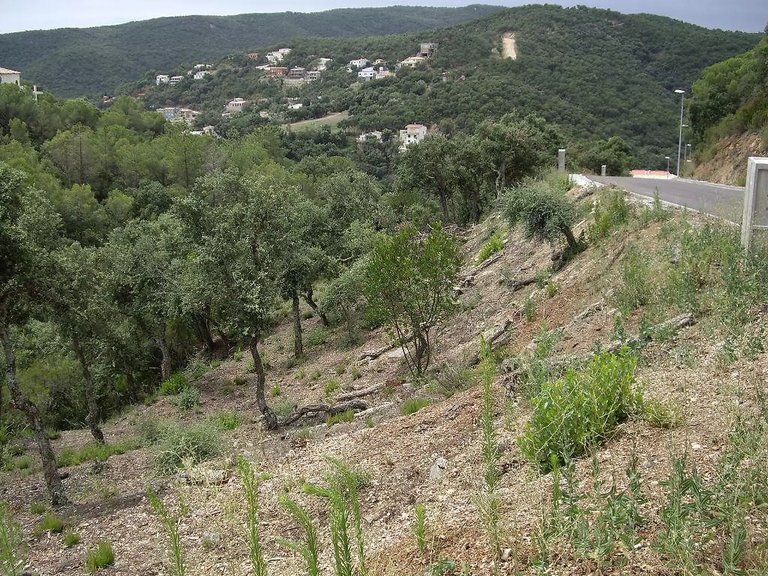 Plot for Sale in Calonge, Gerona 5