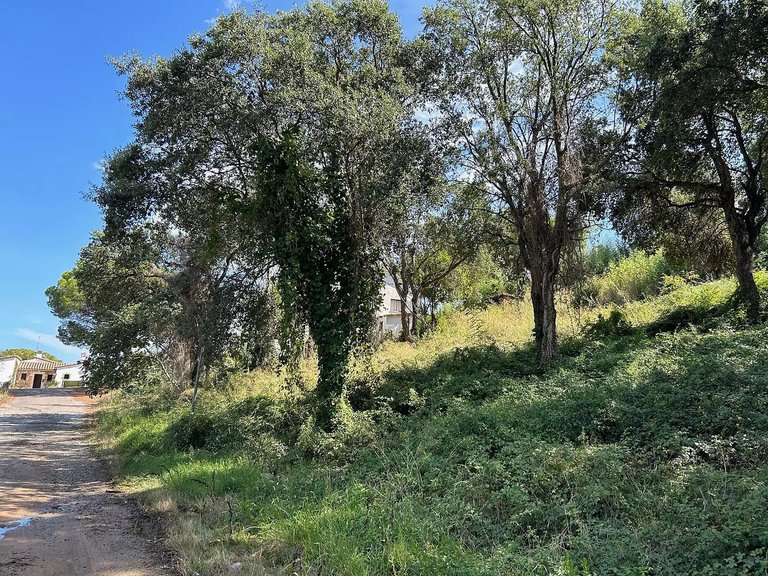 Plot for Sale in Castell D'aro, Gerona 3