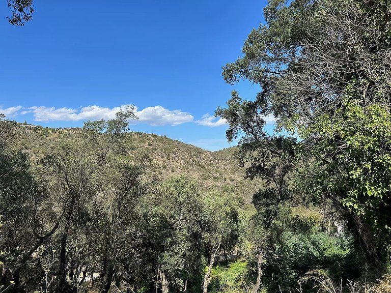 Plot for Sale in Castell D'aro, Gerona 4