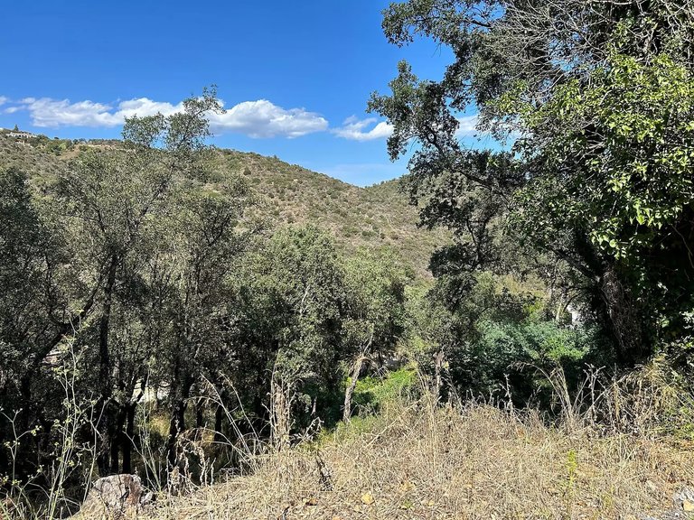 Plot for Sale in Castell D'aro, Gerona 5