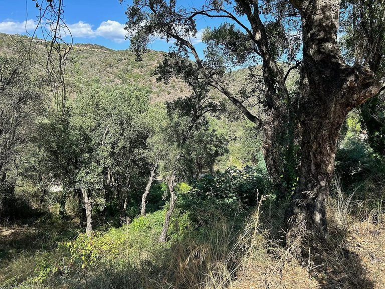 Plot for Sale in Castell D'aro, Gerona 6