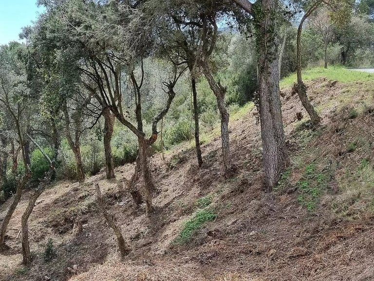 Plot for Sale in Calonge, Gerona 1