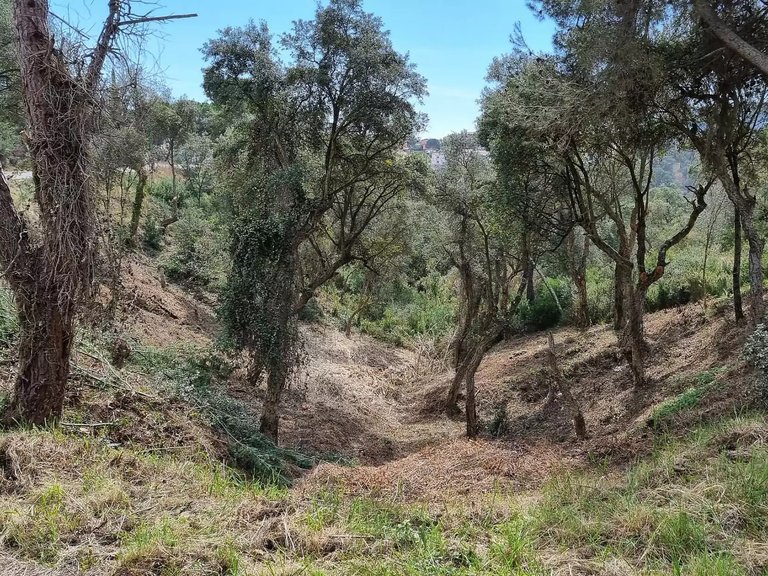 Plot for Sale in Calonge, Gerona 3