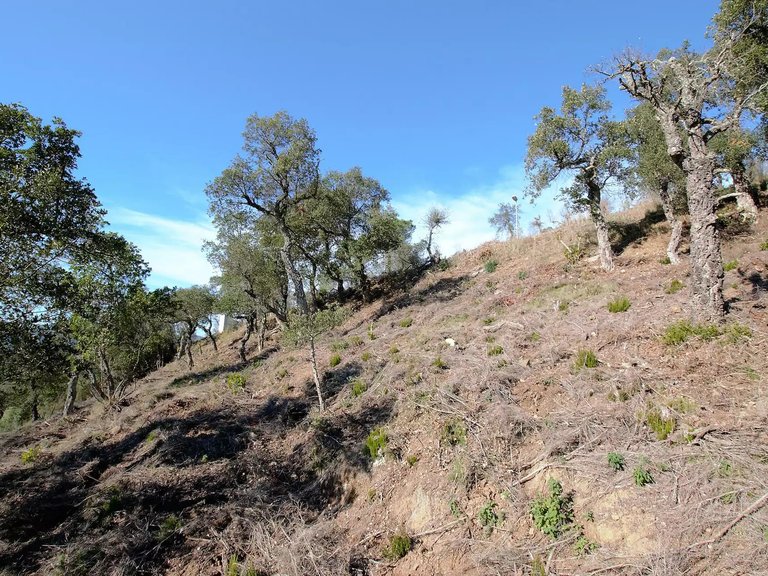 Plot for Sale in Calonge, Gerona 2