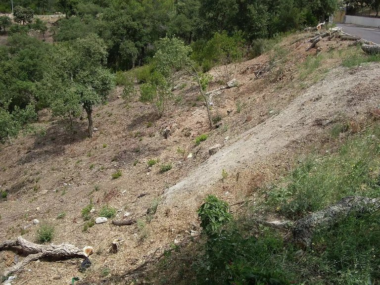 Plot for Sale in Calonge, Gerona 1