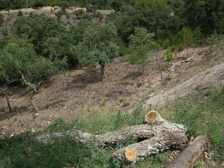 Plot for Sale in Calonge, Gerona 2