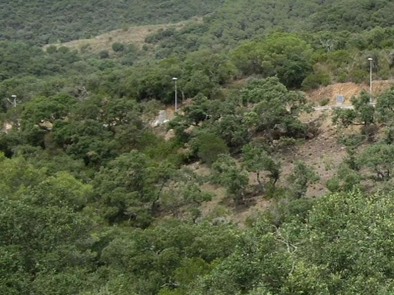 Plot for Sale in Calonge, Gerona 3