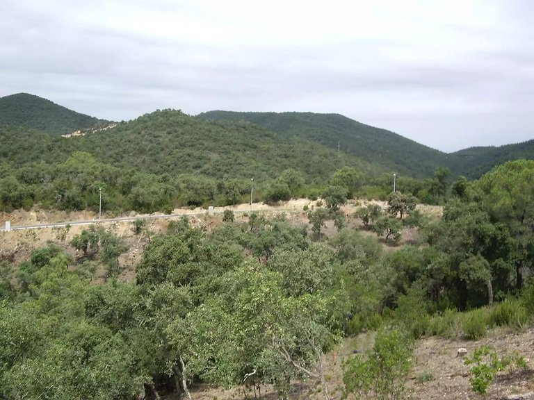 Plot for Sale in Calonge, Gerona 4
