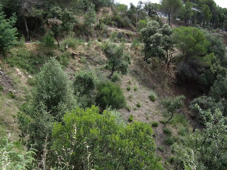 Plot for Sale in Calonge, Gerona 2