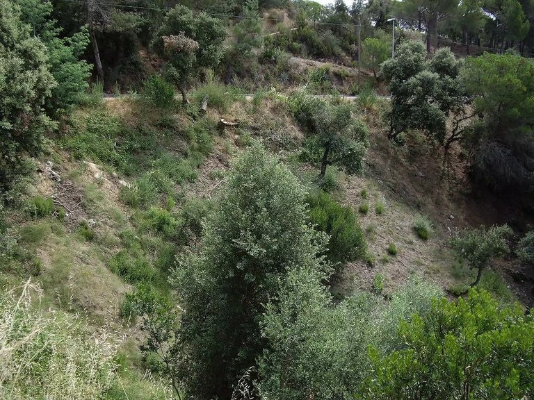 Plot for Sale in Calonge, Gerona 3