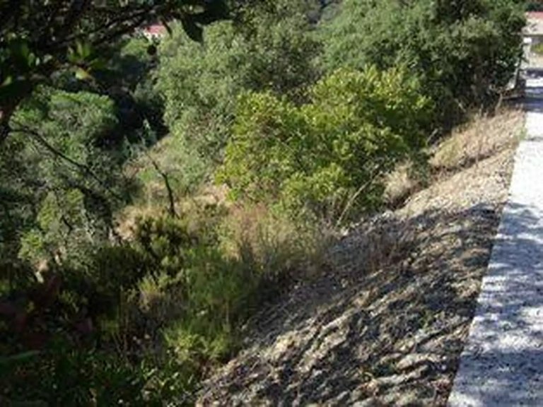 Plot for Sale in Calonge, Gerona 2