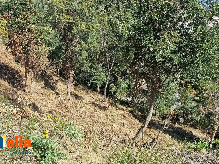 Plot for Sale in Calonge, Gerona 3