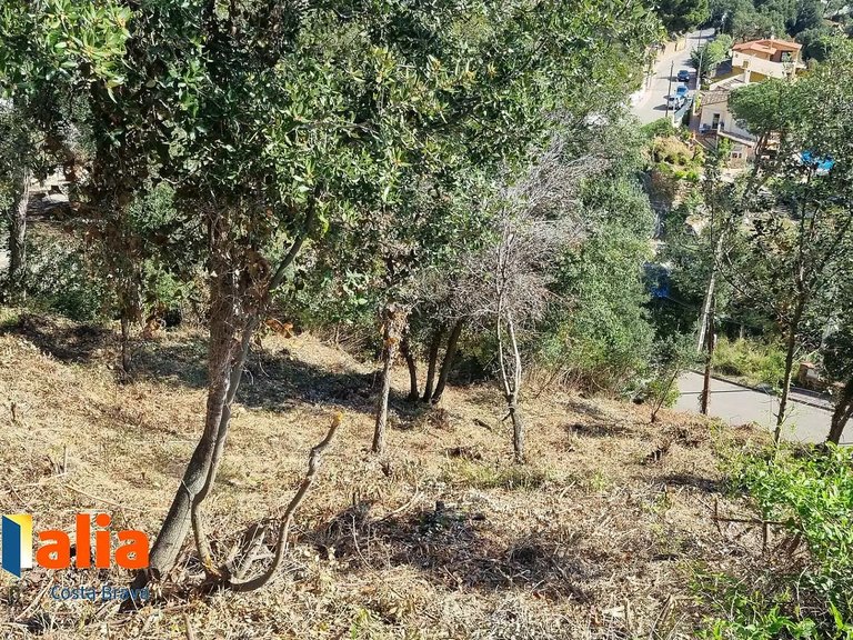 Plot for Sale in Calonge, Gerona 4