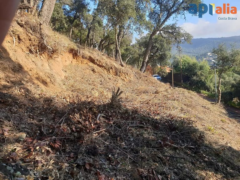 Plot for Sale in Calonge, Gerona 2