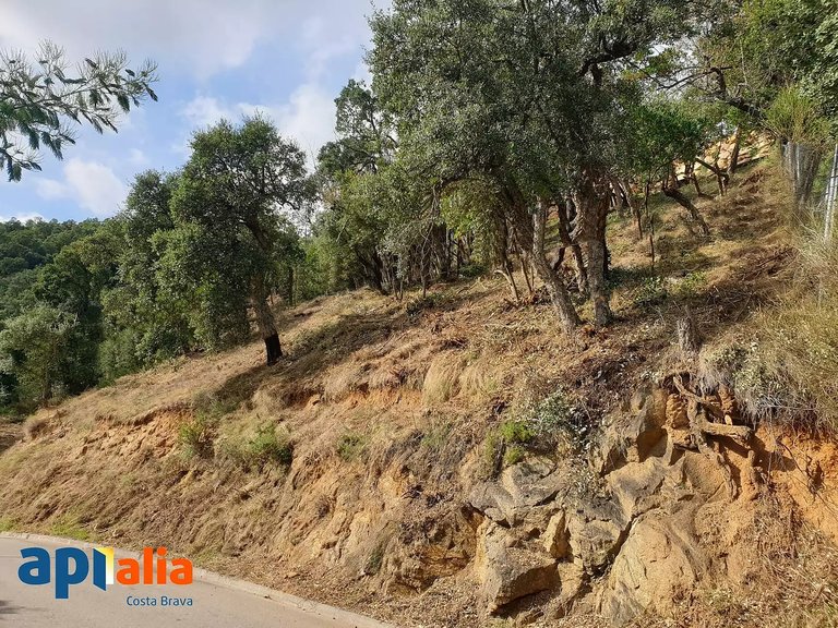 Plot for Sale in Calonge, Gerona 5