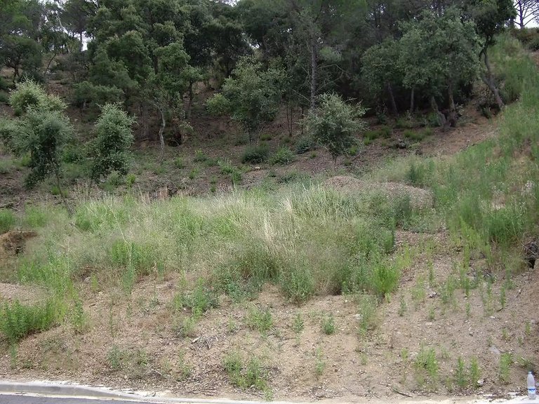 Plot for Sale in Calonge, Gerona 7