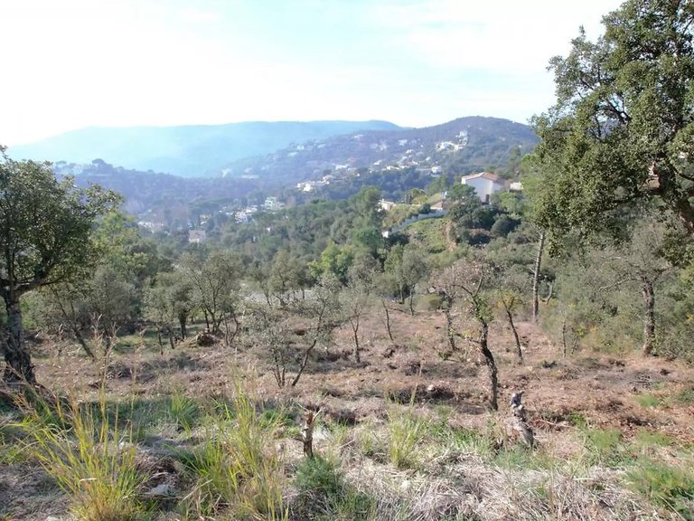 Plot for Sale in Calonge, Gerona 2