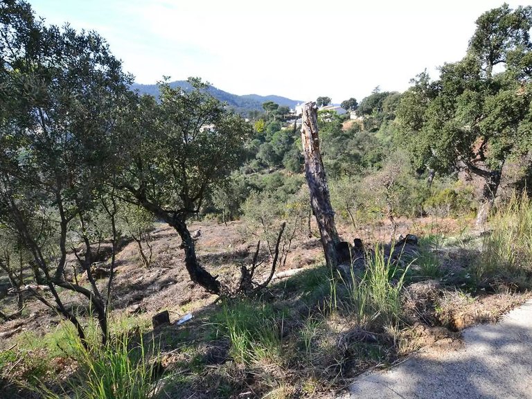 Plot for Sale in Calonge, Gerona 4