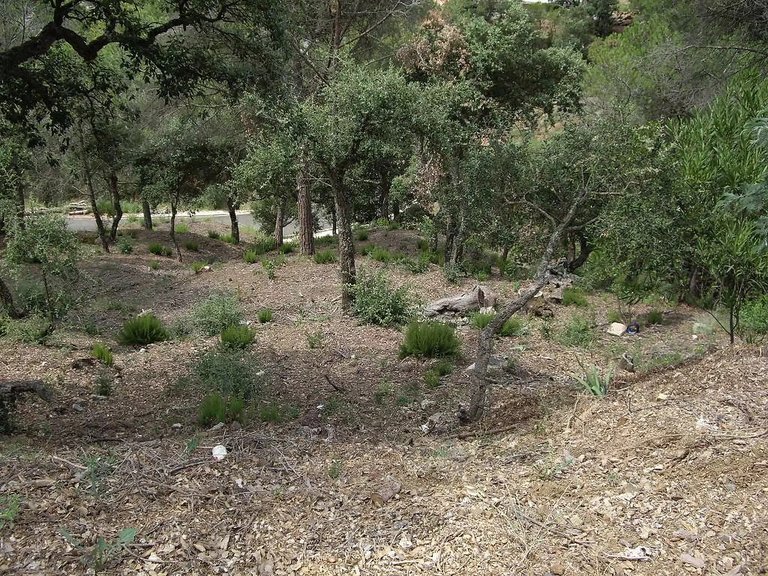 Plot for Sale in Calonge, Gerona 7