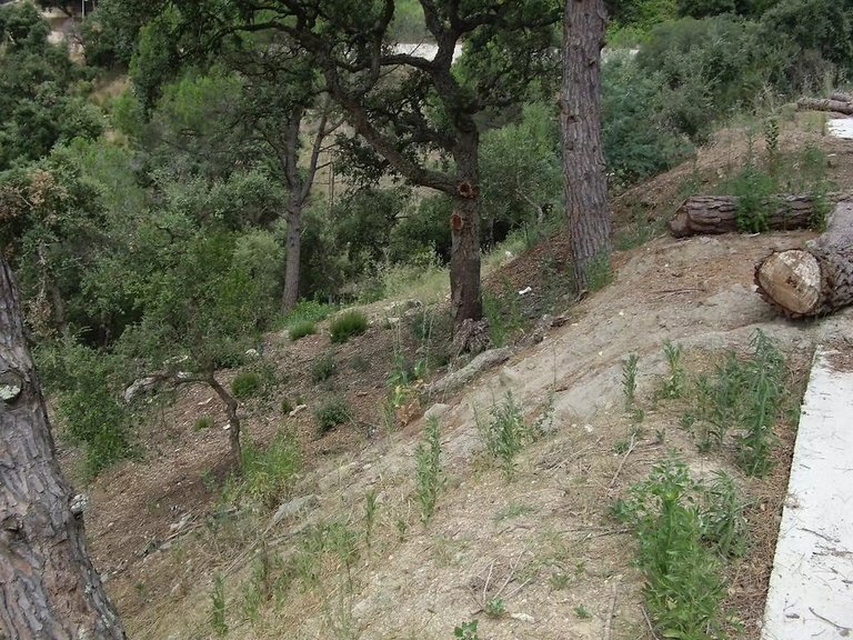 Plot for Sale in Calonge, Gerona 8