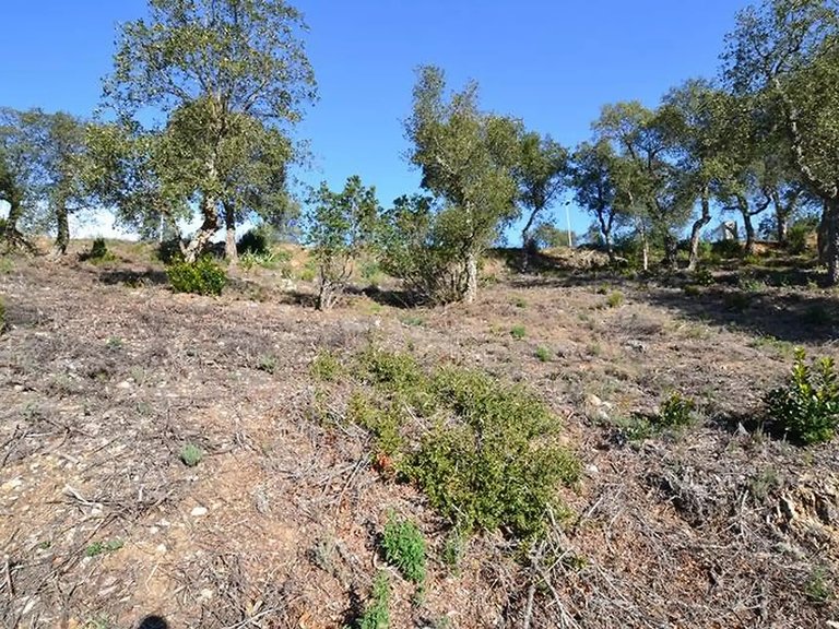 Plot for Sale in Calonge, Gerona 1