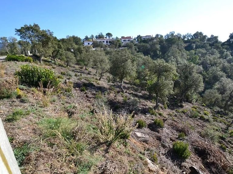 Plot for Sale in Calonge, Gerona 2