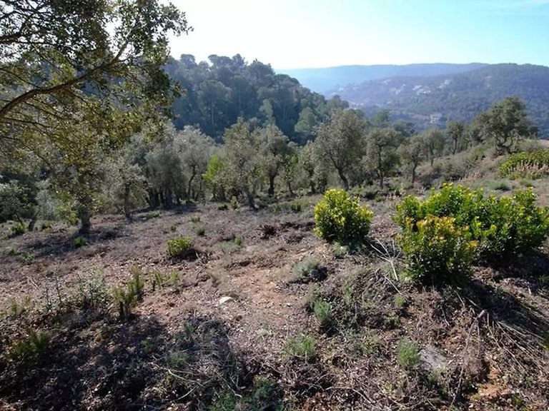 Plot for Sale in Calonge, Gerona 3