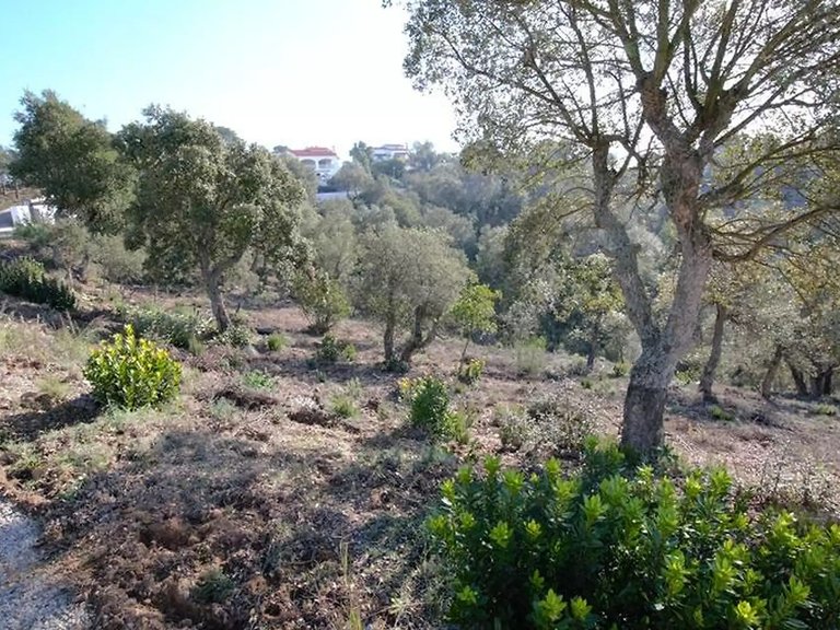 Plot for Sale in Calonge, Gerona 4