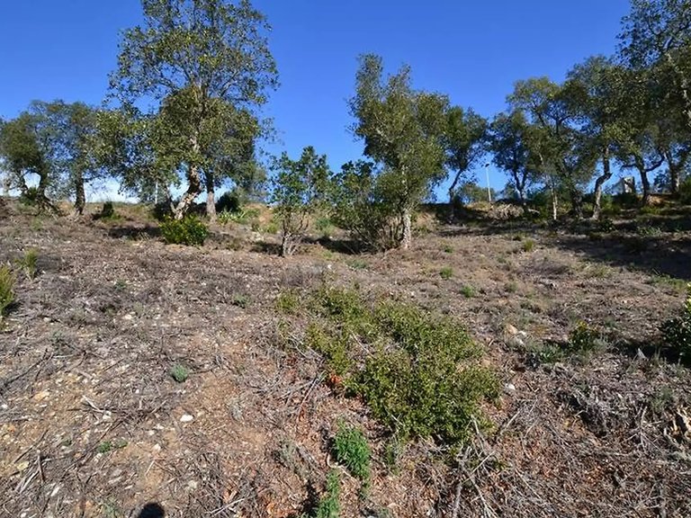 Plot for Sale in Calonge, Gerona 6
