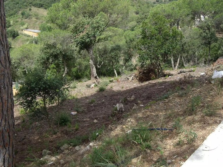 Plot for Sale in Calonge, Gerona 1