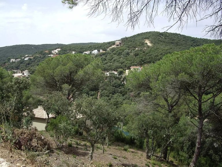 Plot for Sale in Calonge, Gerona 2