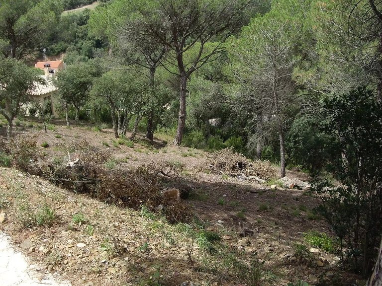 Plot for Sale in Calonge, Gerona 3