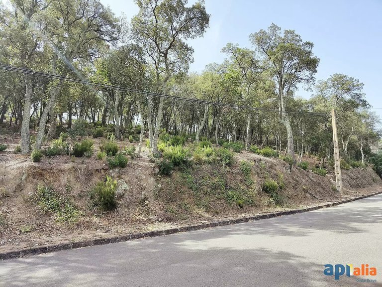 Plot for Sale in Santa Cristina D'aro, Gerona 1