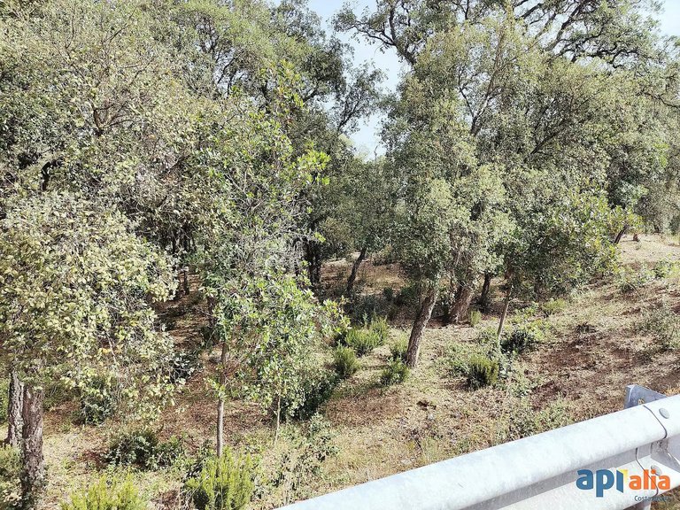 Plot for Sale in Santa Cristina D'aro, Gerona 3