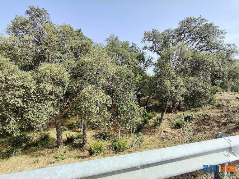 Plot for Sale in Santa Cristina D'aro, Gerona 4