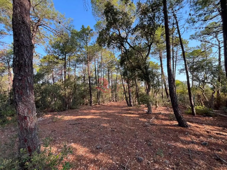 Town House for Sale in Forallac, Gerona 14