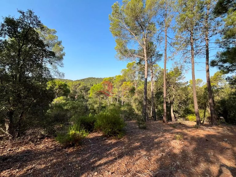 Town House for Sale in Forallac, Gerona 15