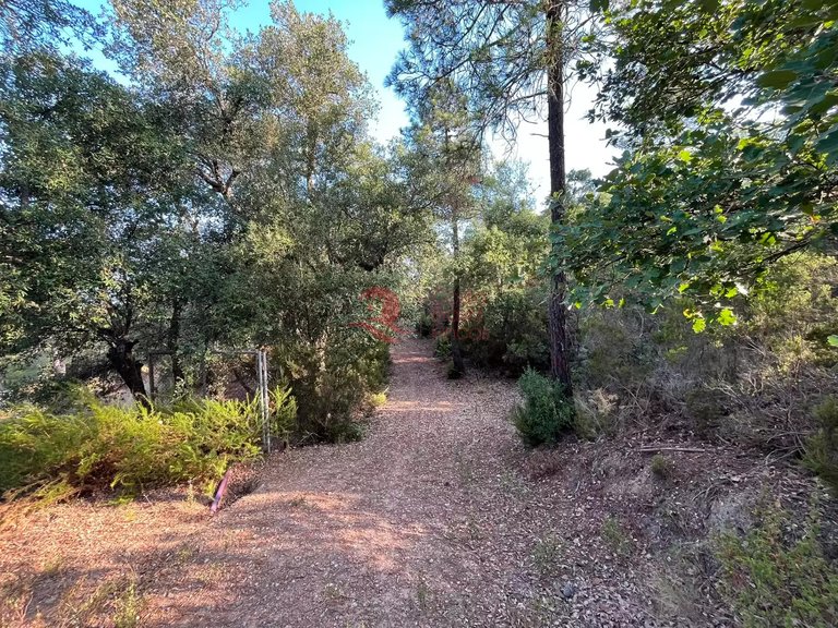Town House for Sale in Forallac, Gerona 17
