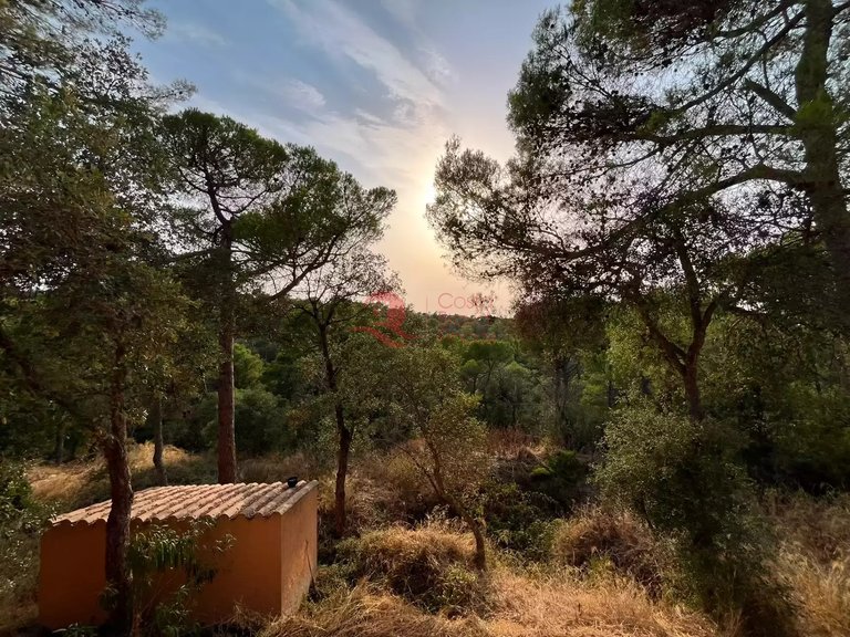 Town House for Sale in Forallac, Gerona 19